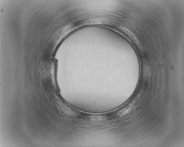 X0000057581465200510171655