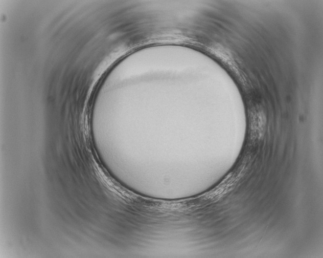 X0000057581466200510171655