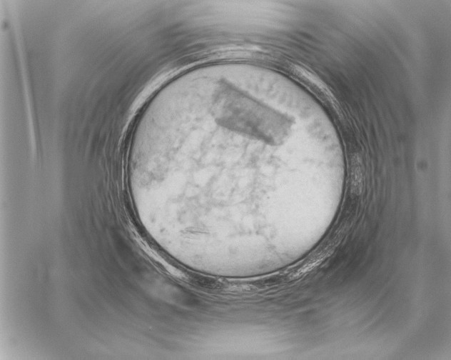 X0000057581467200510171655