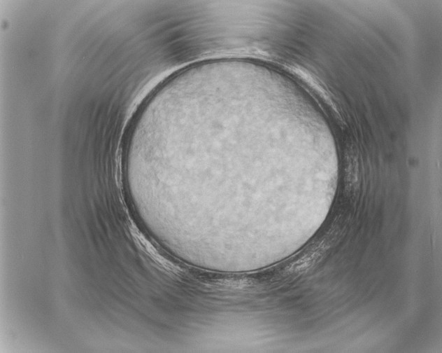 X0000057581468200510171655