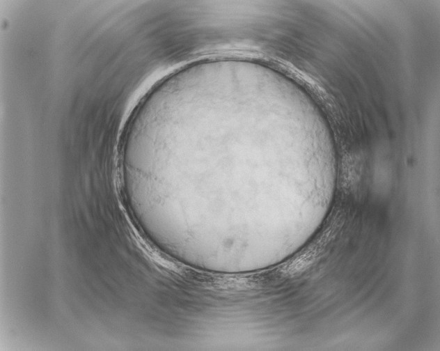 X0000057581470200510171655