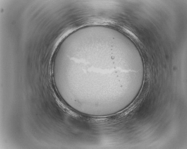 X0000057581471200510171655