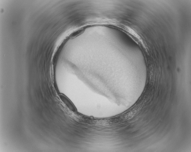 X0000057581472200510171655