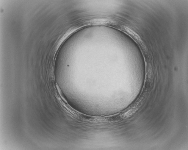 X0000057581473200510171655