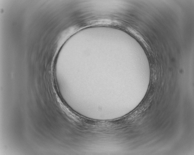 X0000057581475200510171655