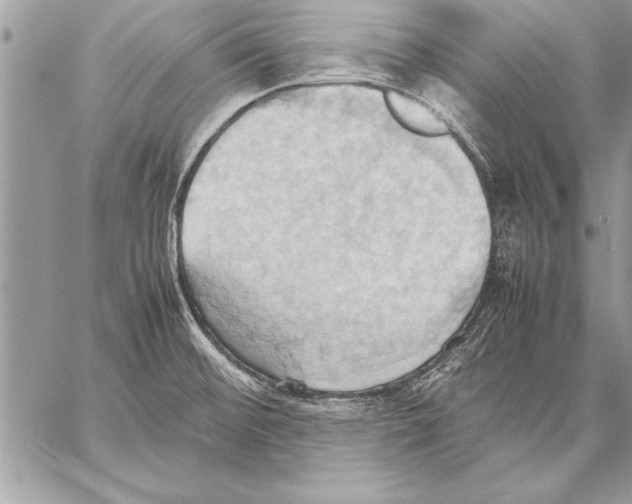 X0000057581476200510171655