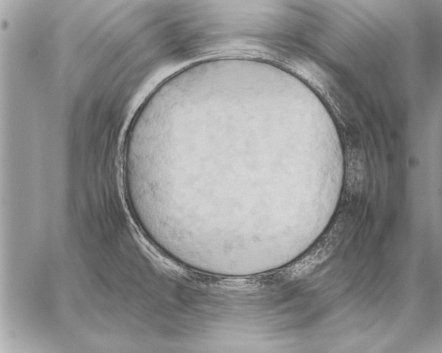 X0000057581478200510171655