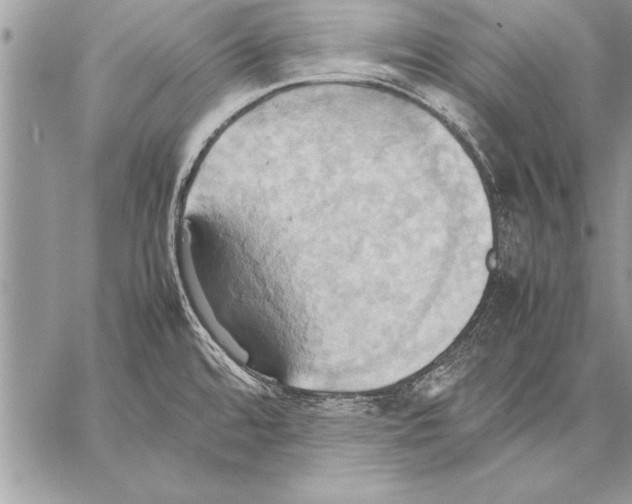 X0000057581480200510171655