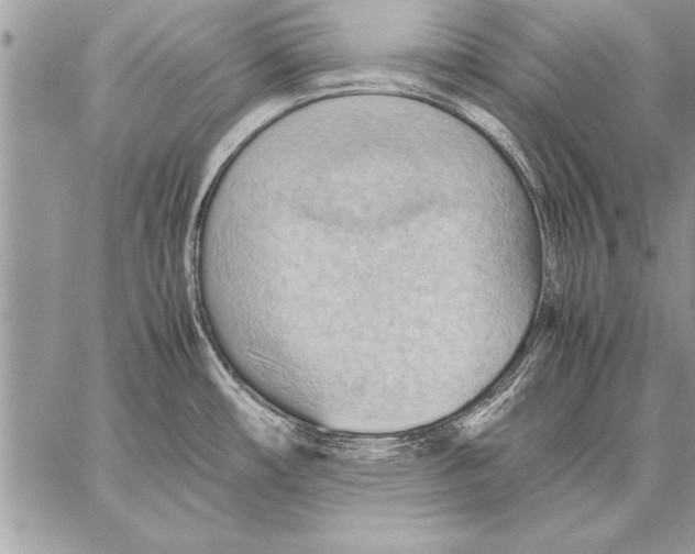 X0000057581482200510171655