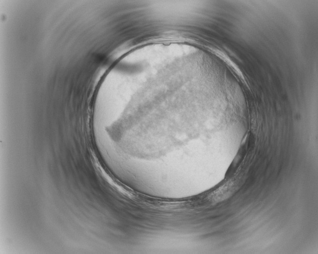 X0000057581484200510171655