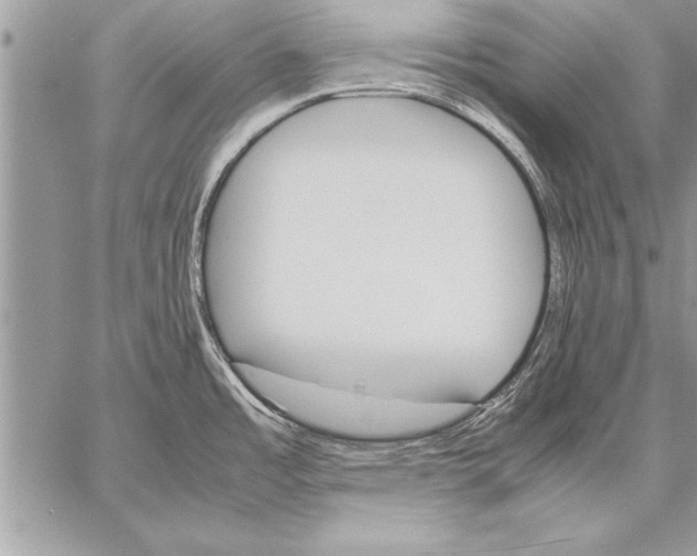 X0000057581485200510171655