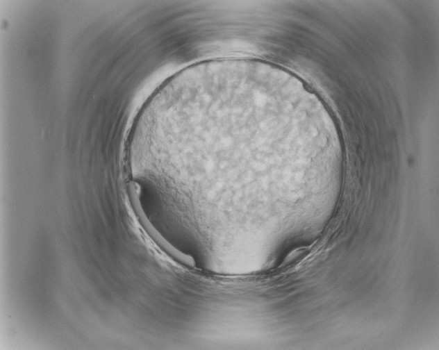 X0000057581488200510171655