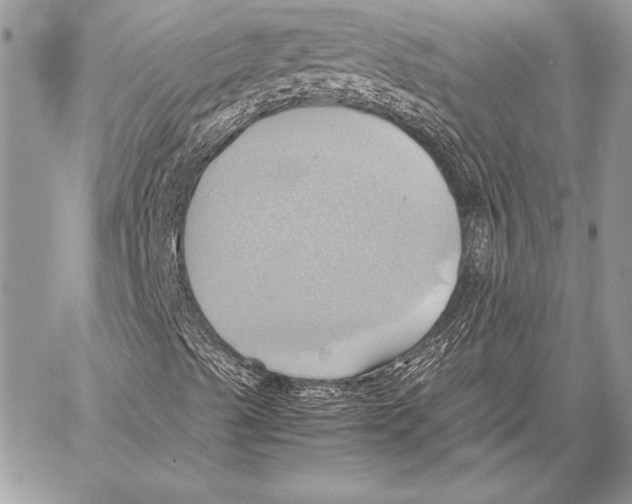 X0000057581489200510171654