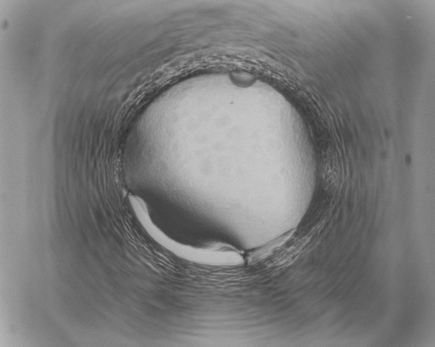 X0000057581490200510171654