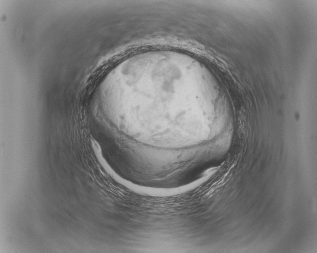 X0000057581494200510171654