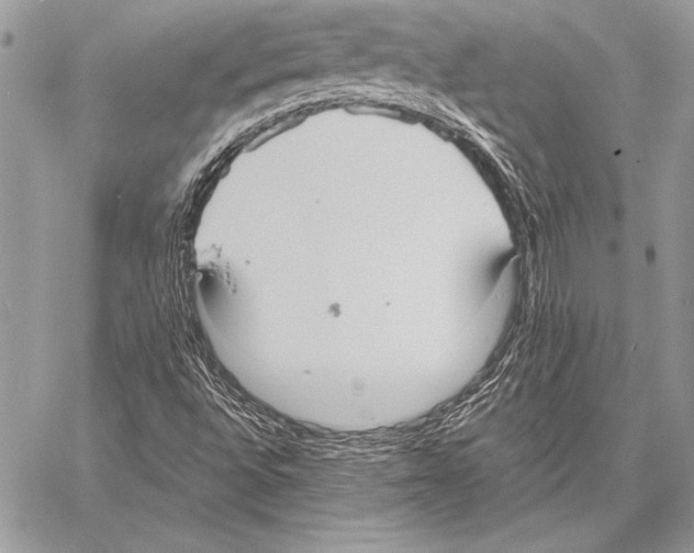 X0000057581496200510171654