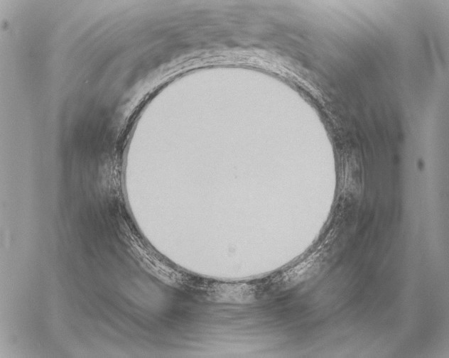 X0000057581498200510171654