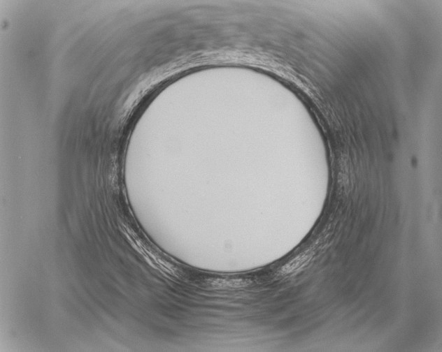 X0000057581499200510171654