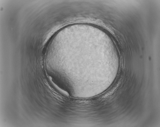 X0000057581501200510171654