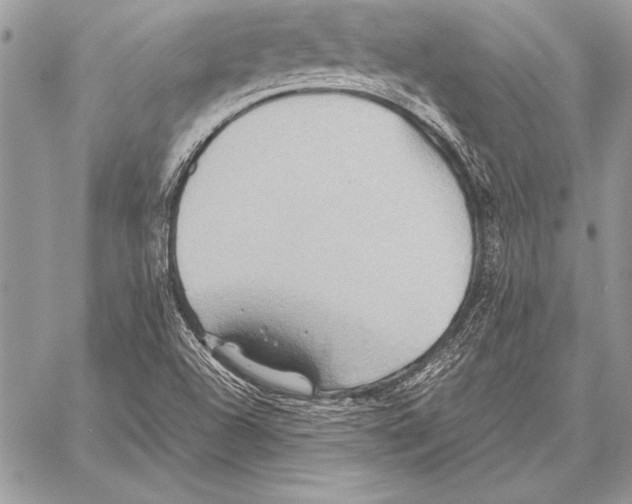 X0000057581504200510171654