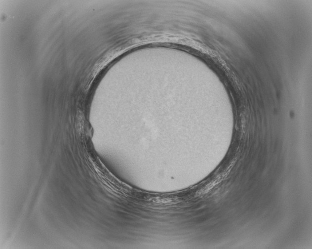 X0000057581505200510171654