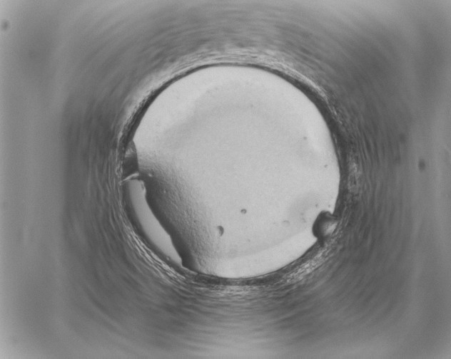 X0000057581506200510171654