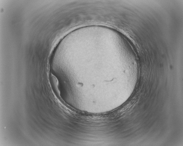 X0000057581508200510171654