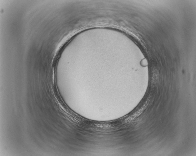 X0000057581509200510171655