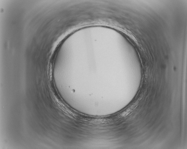 X0000057581510200510171655