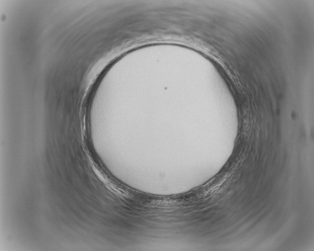 X0000057581511200510171655