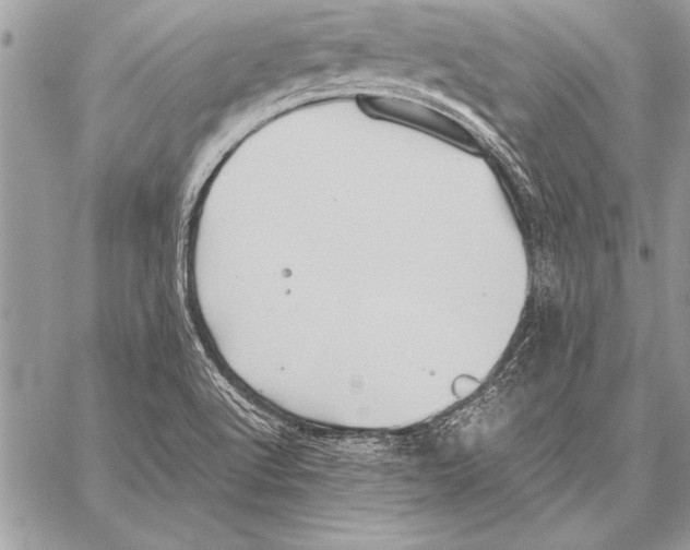 X0000057581512200510171655