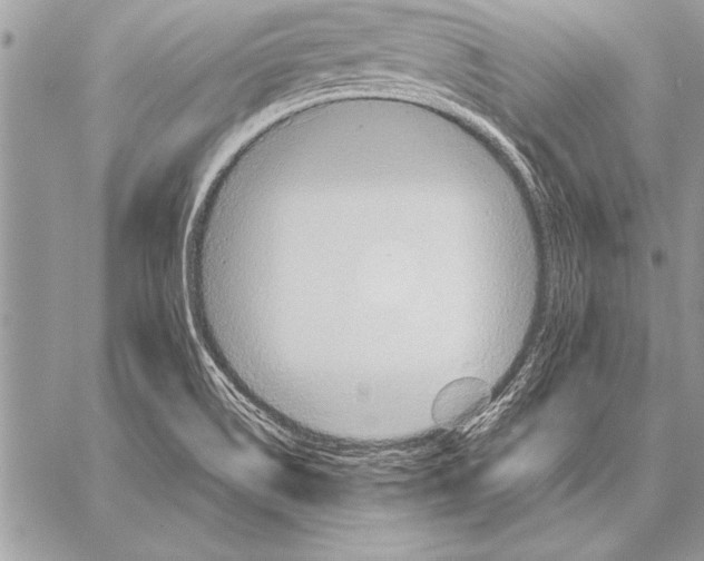 X0000057581514200510171655