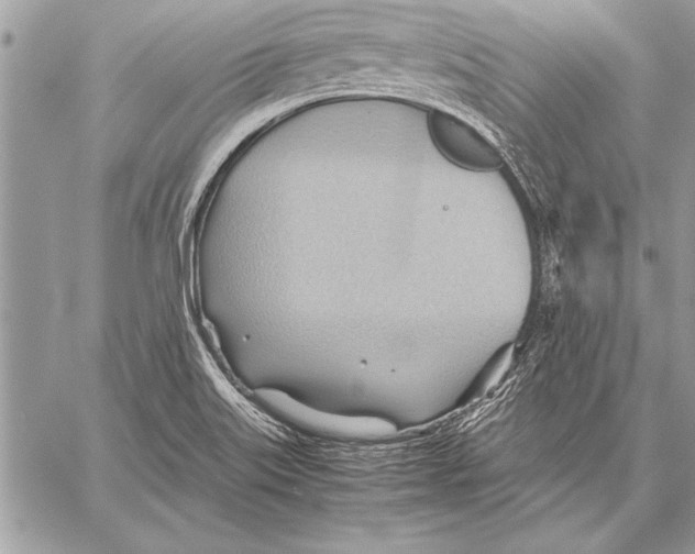 X0000057581515200510171655