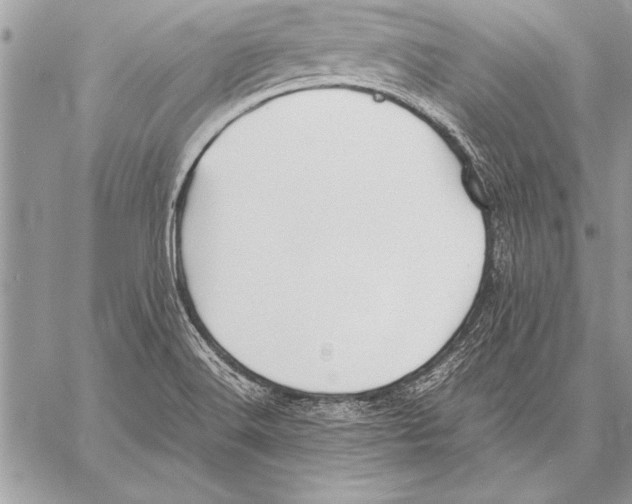 X0000057581516200510171655