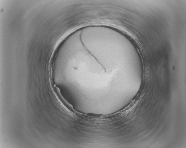 X0000057581517200510171655