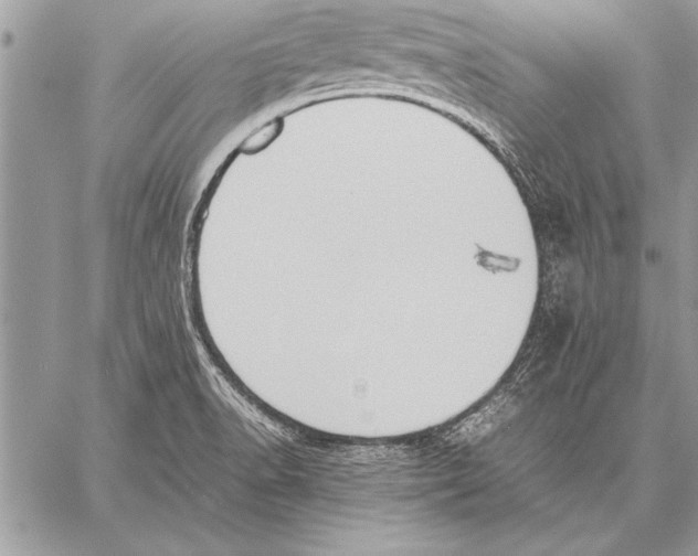 X0000057581518200510171655