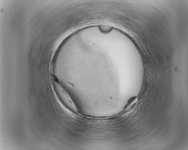 X0000057581519200510171655