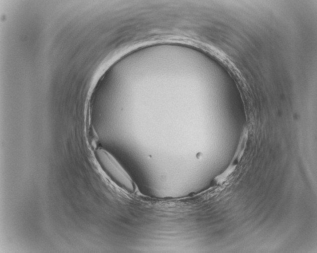 X0000057581520200510171655