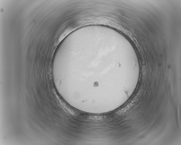 X0000057581521200510171655