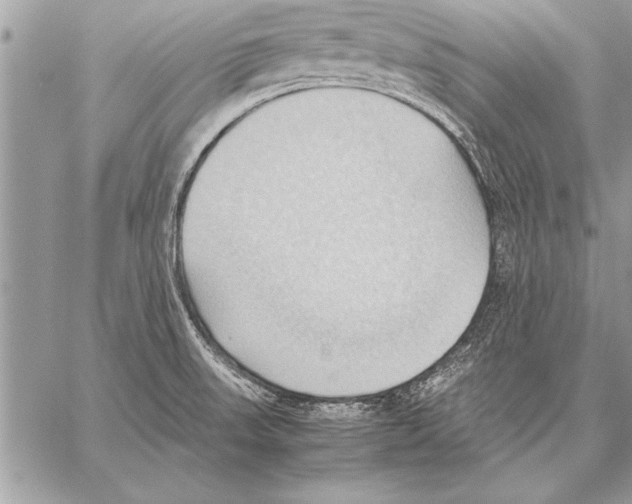 X0000057581523200510171655