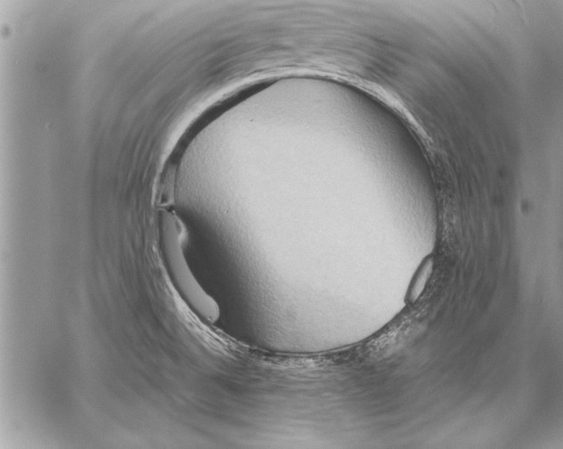 X0000057581524200510171655