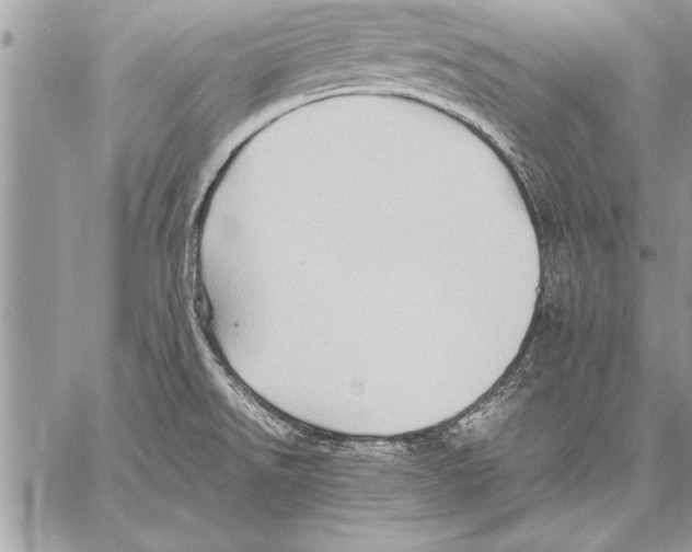 X0000057581526200510171655