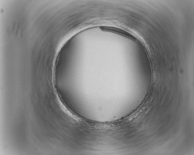 X0000057581528200510171655