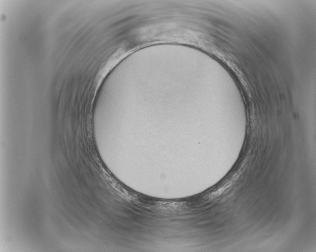 X0000057581529200510171655