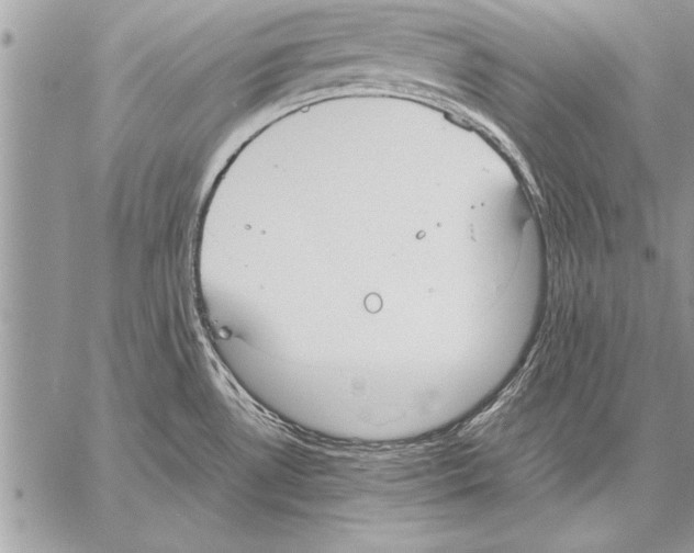 X0000057581530200510171655