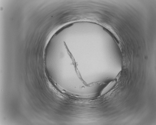 X0000057581532200510171655