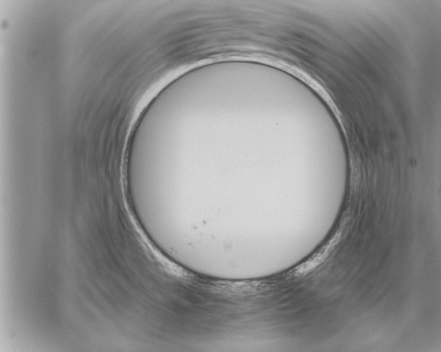 X0000057581533200510171655