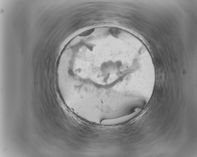 X0000057581534200510171655