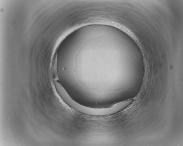 X0000057581536200510171655