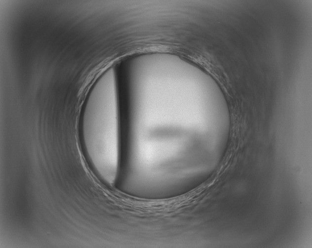 X0000058100001200509230806